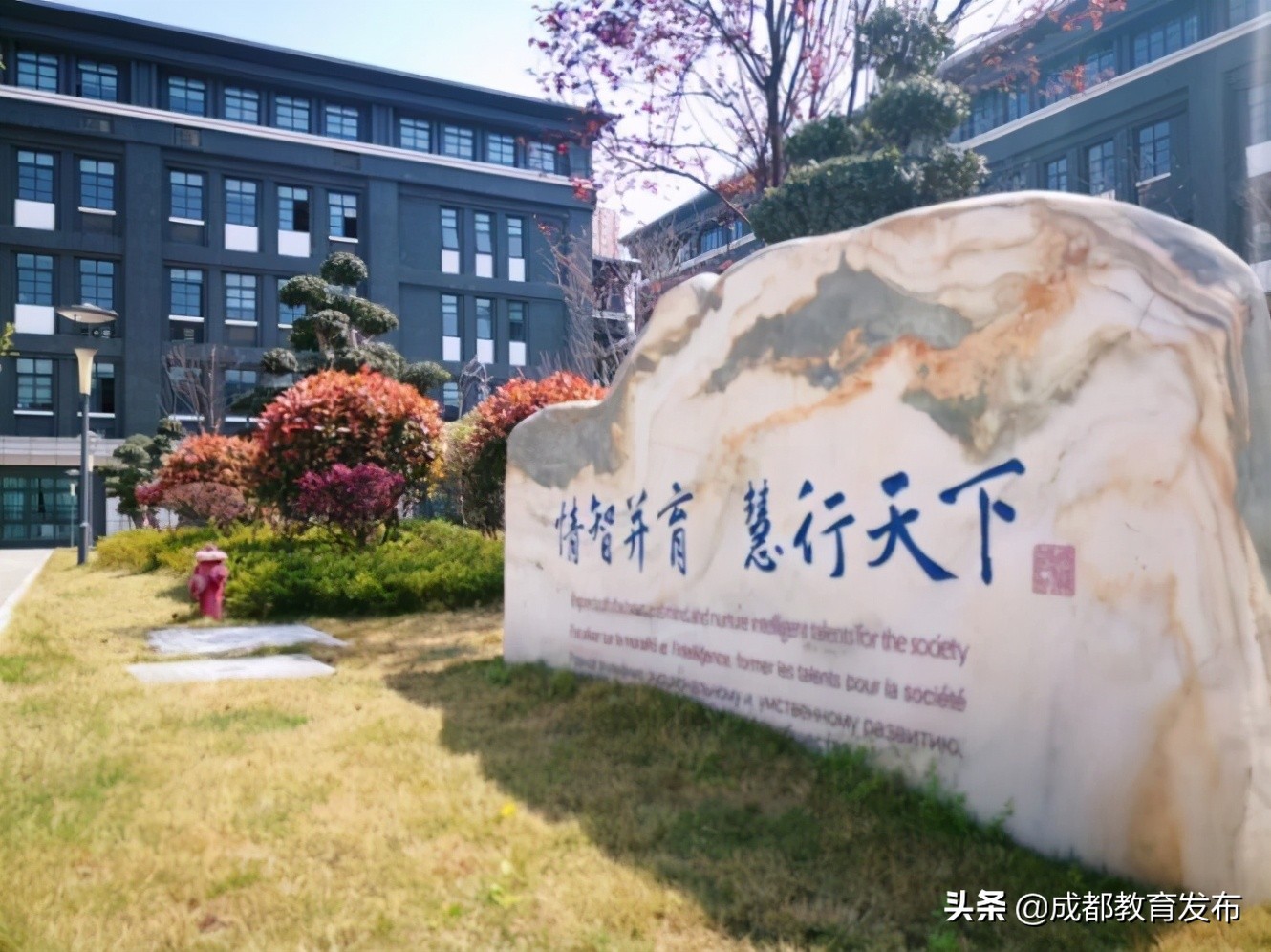 成都探校高中,成都十八中和二十中