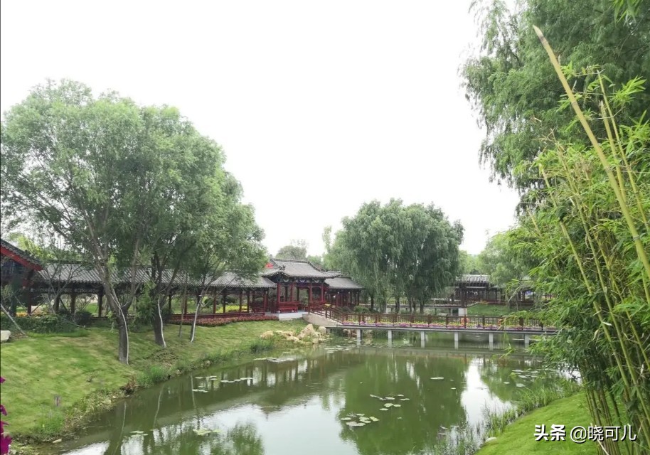 山东沿海旅游必买纪念品,山东旅游纪念品去哪里买