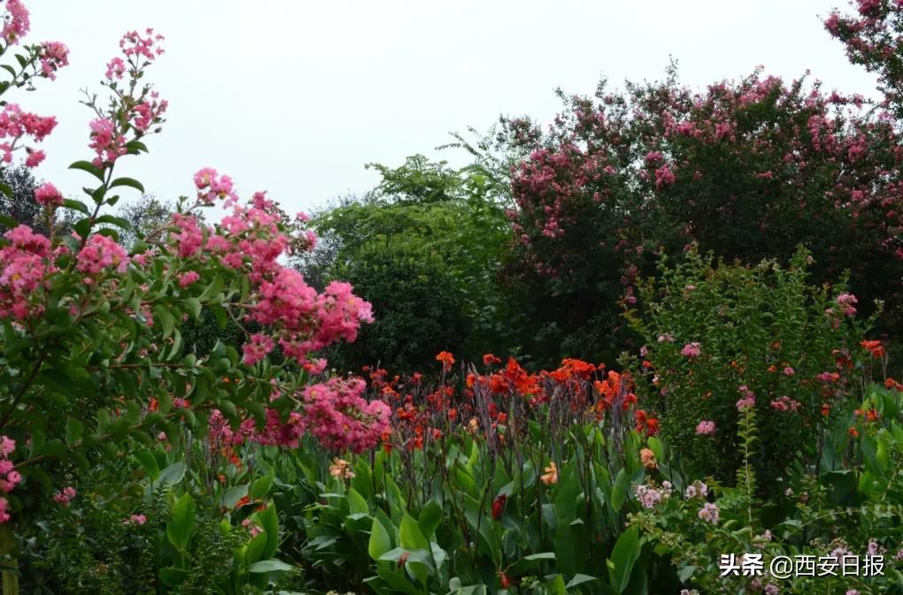 西安市有哪些公园免费开放,西安免费儿童玩的公园