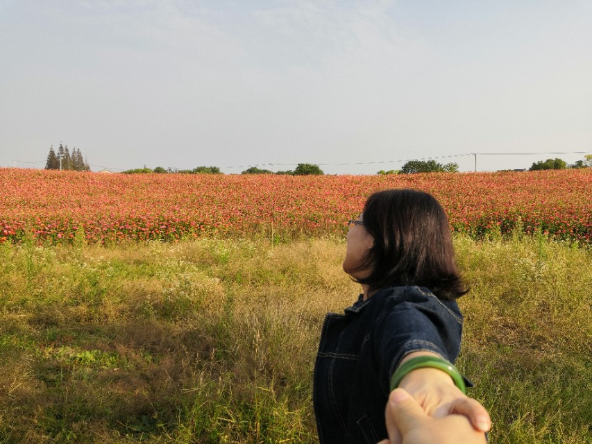 莲花岛一日游的心情感悟,阳澄湖莲花岛邂逅小院