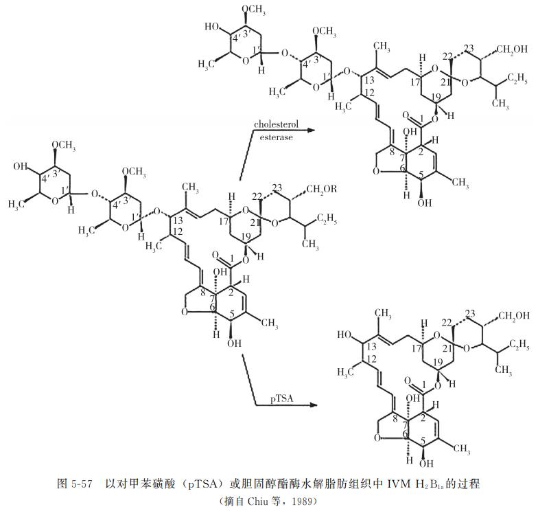 动物食品药物残留检测,动物源性农残检测