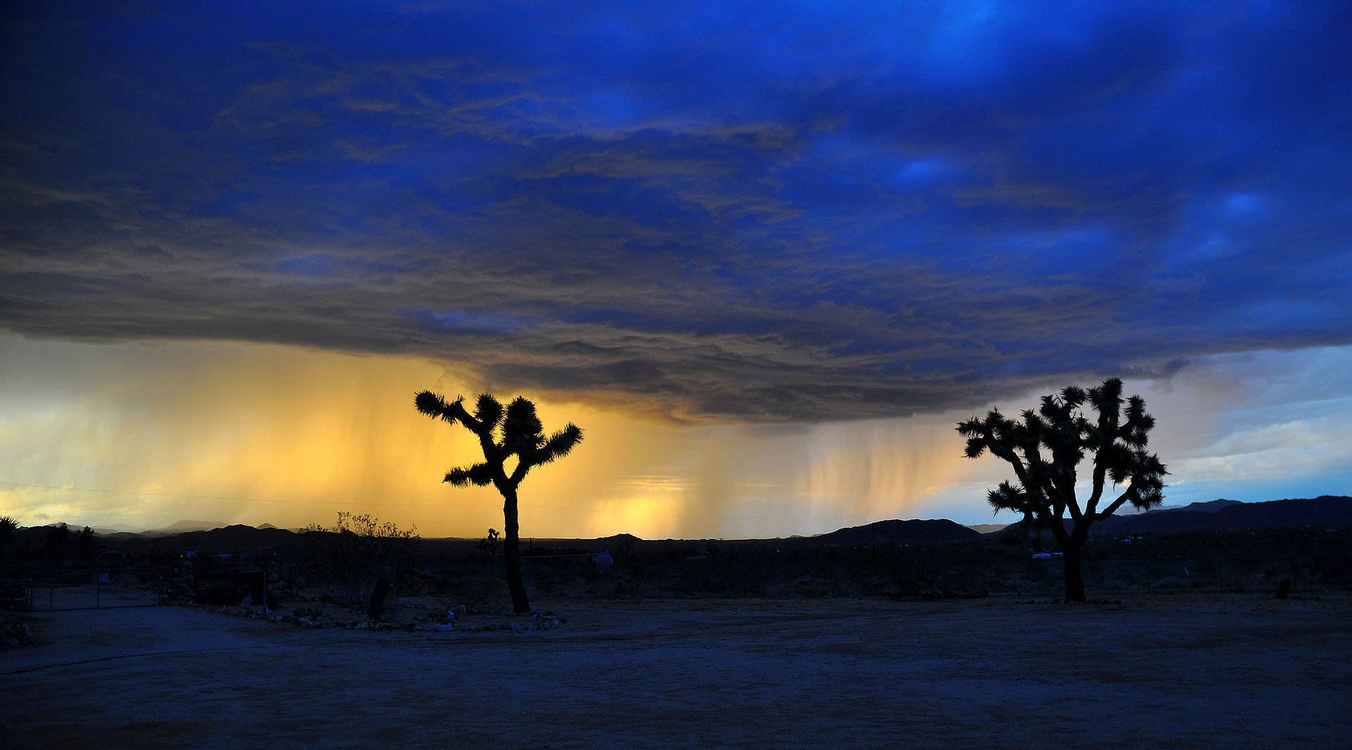 1998年刚果足球雷击视频,1998刚果球赛视频