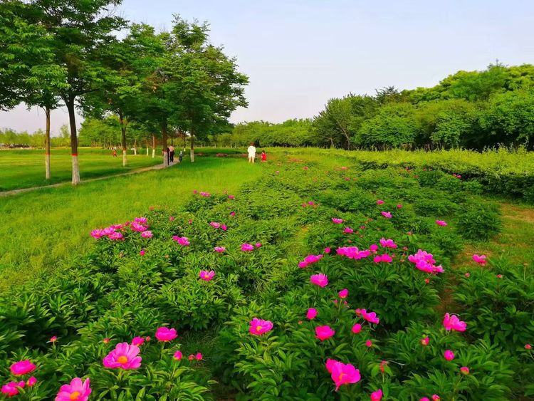 咸阳拟新增4家国家3A级景区,咸阳星级旅游景点