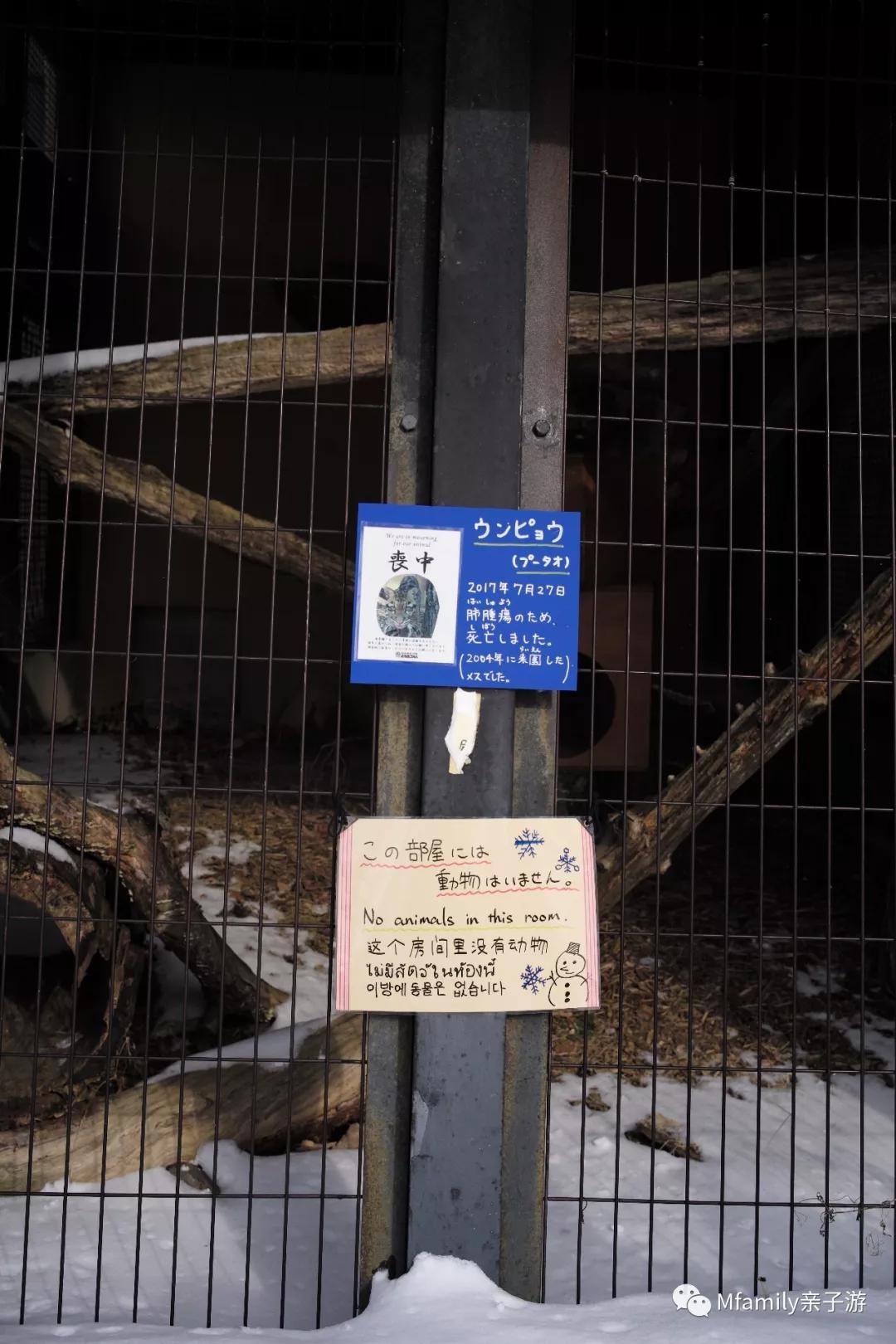 被疫情憋疯小朋友,被疫情憋疯的孩子们