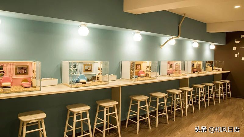 日本迷你猪咖啡厅,日本街头超有人气的猫头鹰咖啡厅