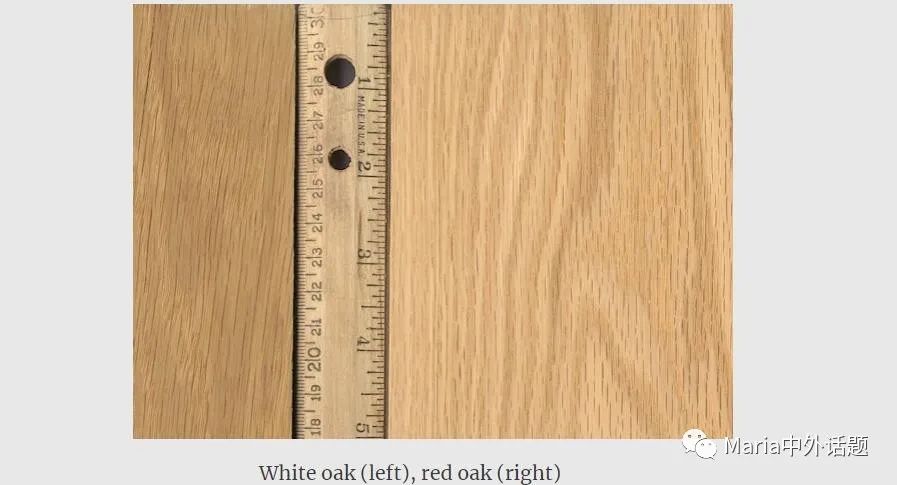 缇庡浗姗℃湪浜у尯,缇庡浗鍖楅儴姗℃湪