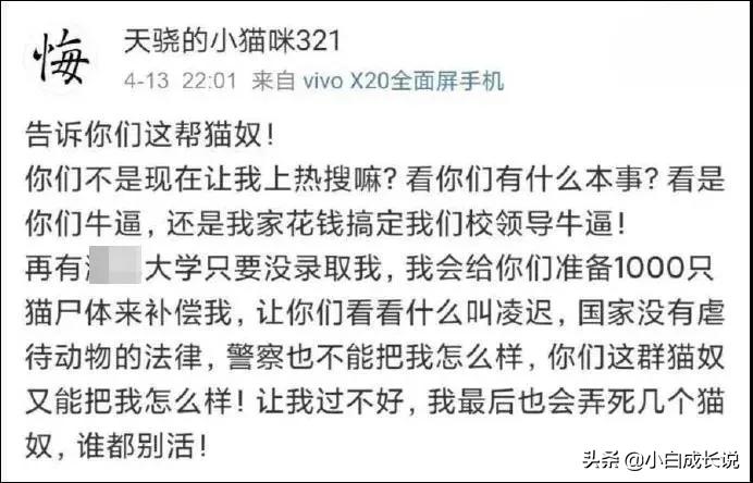 为什么虐猫会被批判,为什么现在虐猫都能上热搜