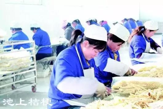 你好！我叫博山，这是我的简历......,转自博山微生活）