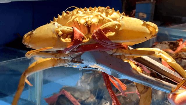 4.9折!曝光魔都20年隐藏美食街,教你白天读懂夜的黑