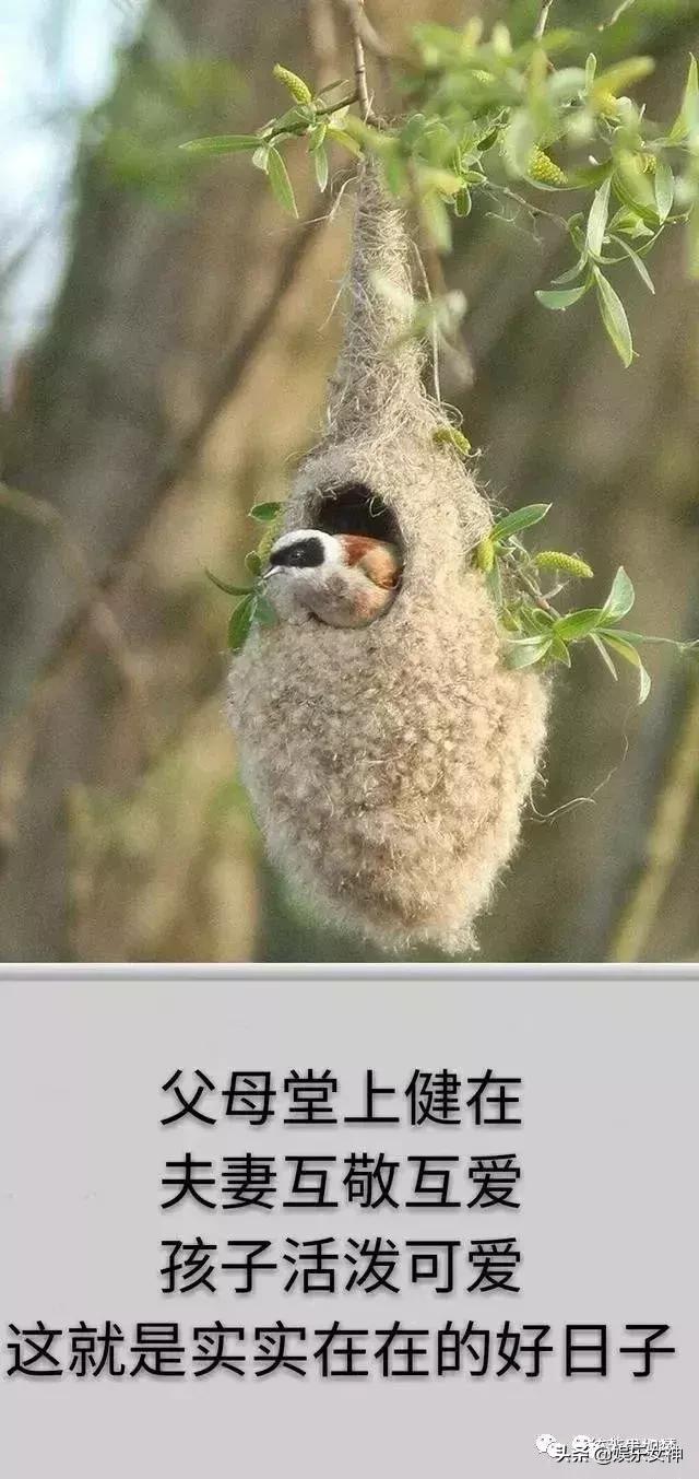 我的家庭相册文章,我的家庭相册细节