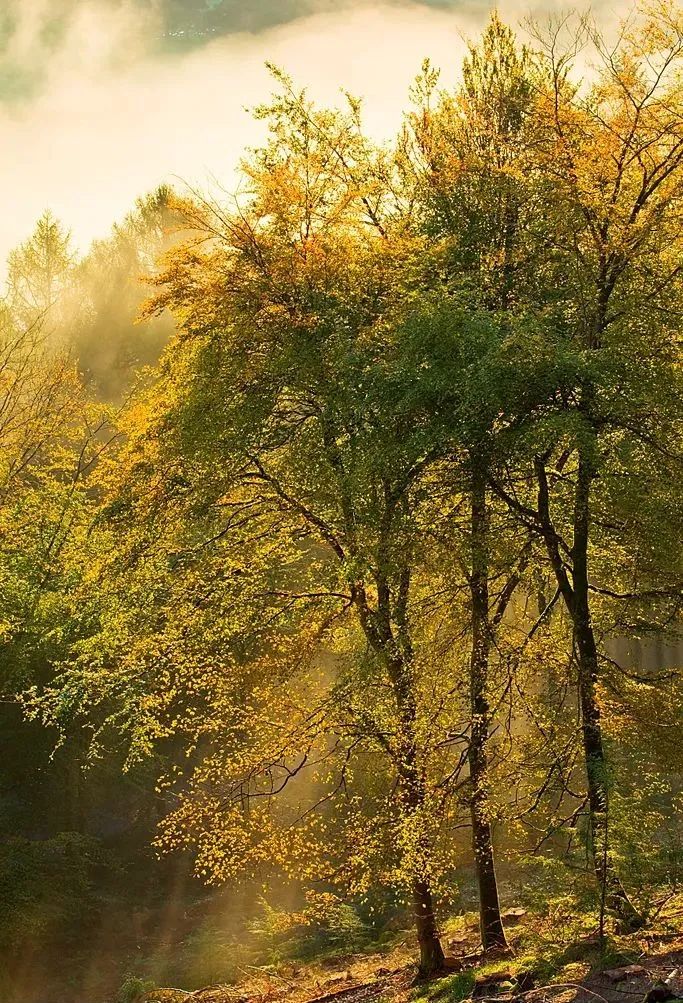 又a又飒的品牌,又a又飒的歌曲英文