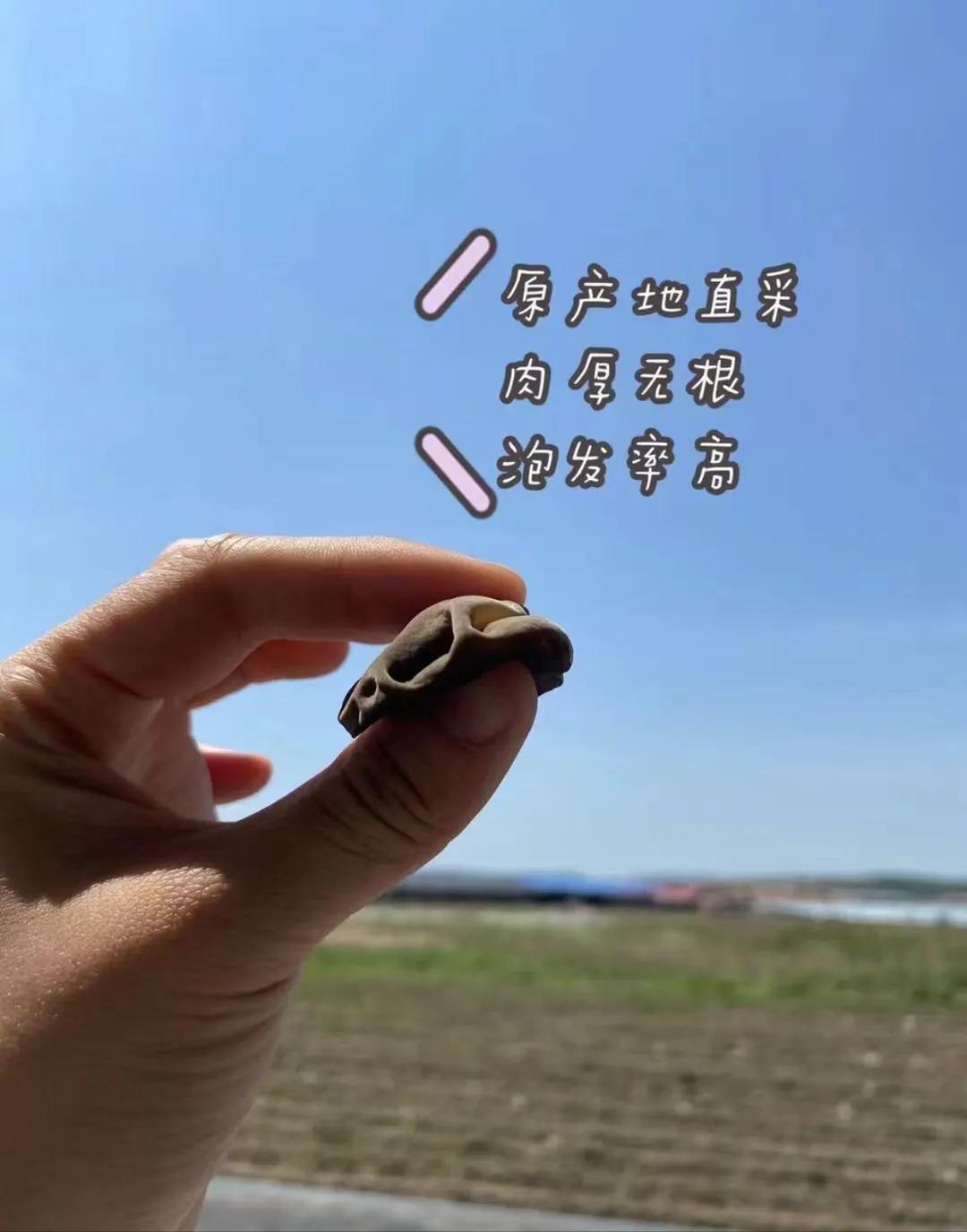 <html>
<head><title>502BadGateway</title></head>
<body>
<center><h1>502BadGateway</h1></center>
<hr><center>nginx</center>
</body>
</html>
<!--apaddingtodisableMSIEandChromefriendlyerrorpage-->
<!--apaddingtodisableMSIEandChromefriendlyerrorpage-->
<!--apaddingtodisableMSIEandChromefriendlyerrorpage-->
<!--apaddingtodisableMSIEandChromefriendlyerrorpage-->
<!--apaddingtodisableMSIEandChromefriendlyerrorpage-->
<!--apaddingtodisableMSIEandChromefriendlyerrorpage-->
