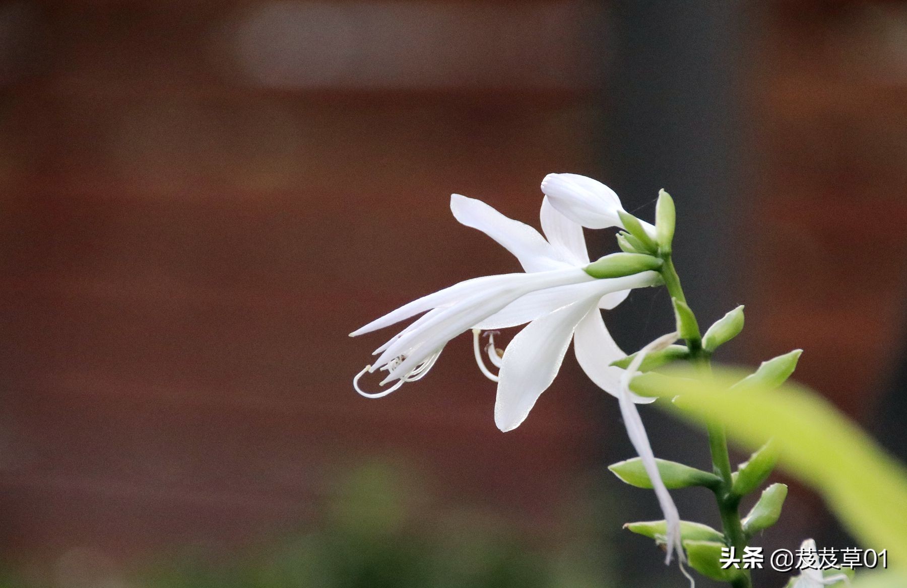 与老年人沟通的说话技巧,老年人语言沟通技巧