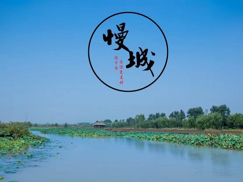 淄博文旅logo设计思路,淄博文旅征集淄博烧烤标志