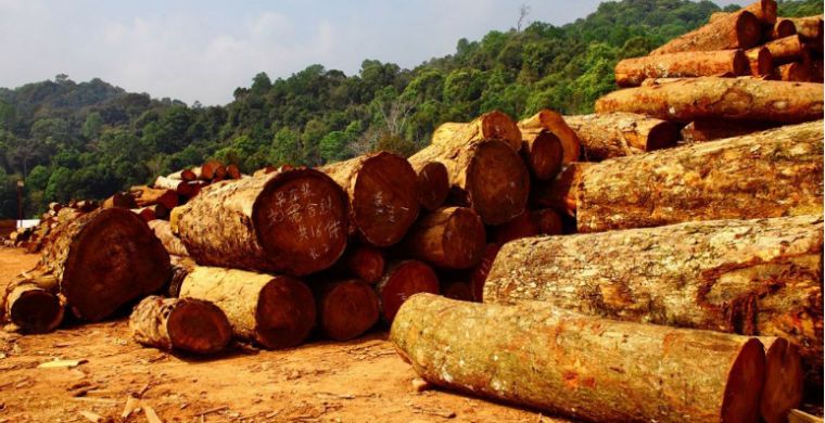 木门怎么选择最好,木门怎么选便宜