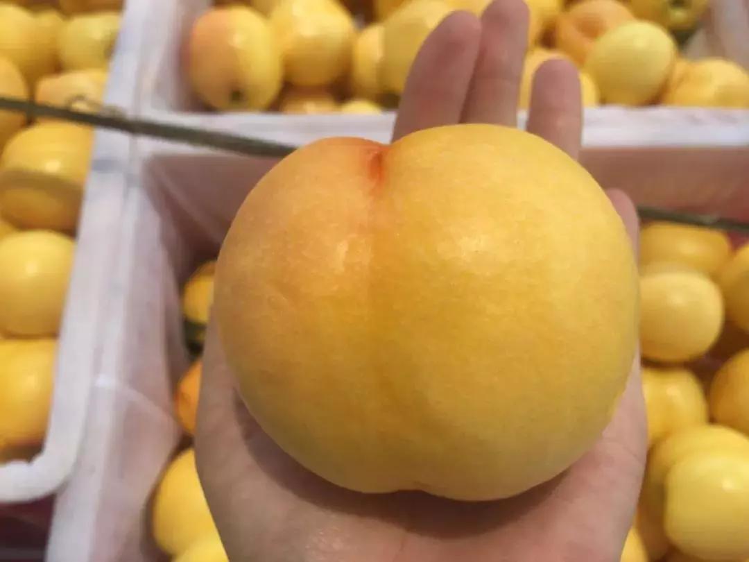 三伏天饮食上要注意些什么,三伏天的第一天要吃什么和干什么