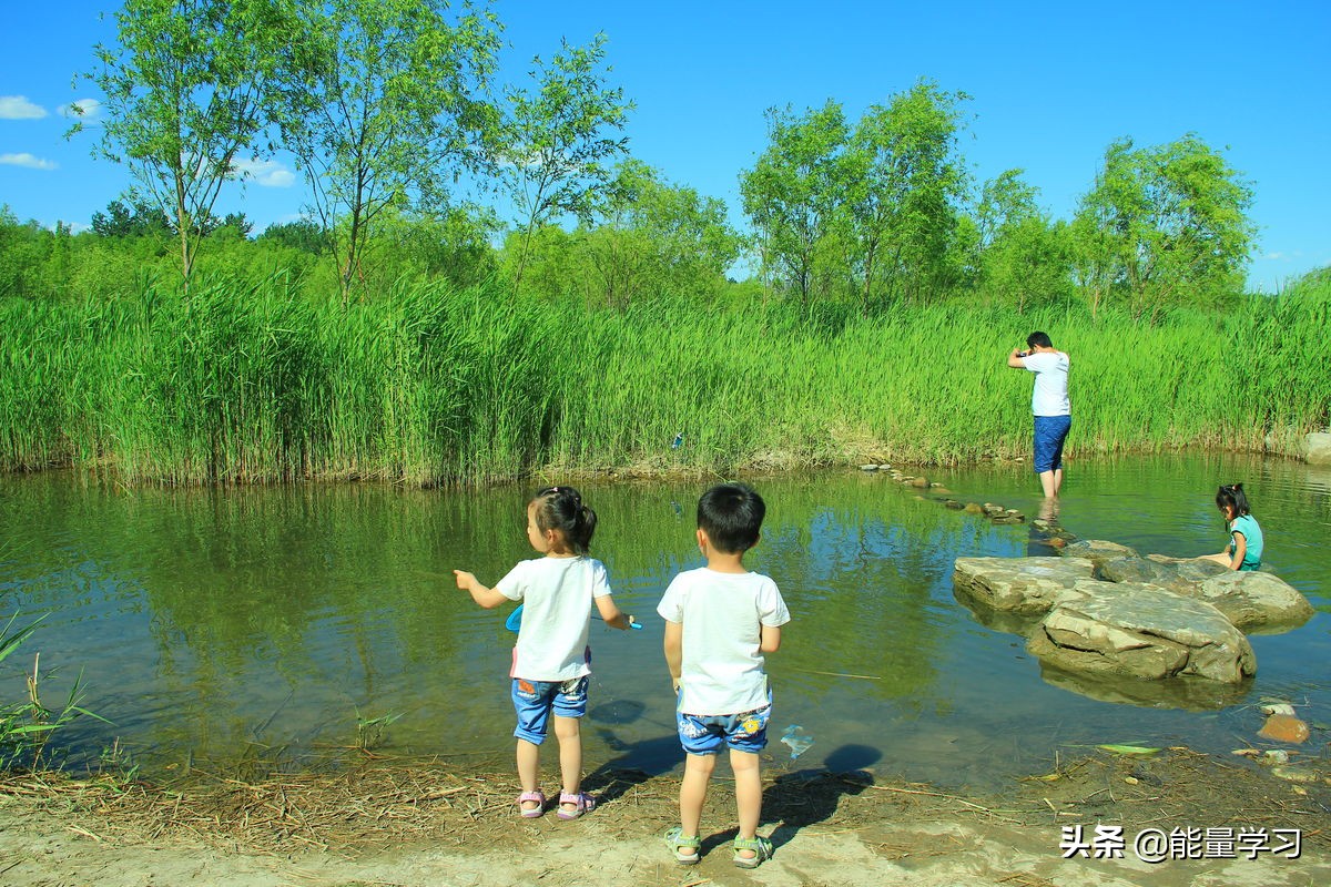 2021高考语文作文最热门话题,2020高考作文热点评析素材