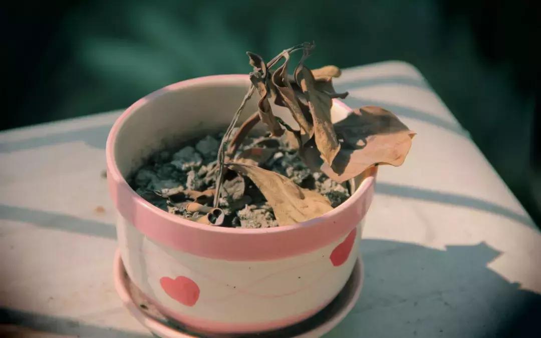 纽约夜晚的神秘蓝光,纽约奇异蓝光笼罩夜空外星人降临