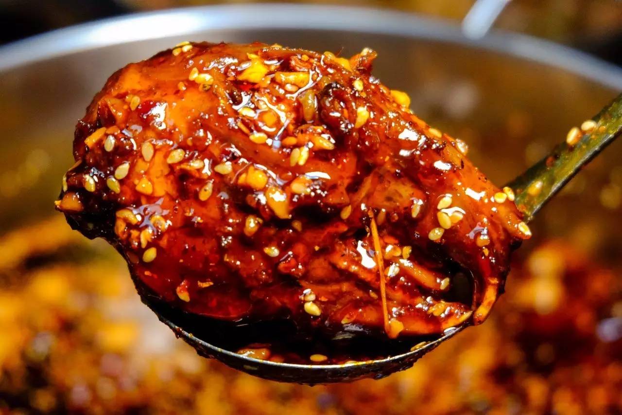 澳洲野兔泛滥成灾上演人兔大战,野兔在澳洲泛滥成灾多久了