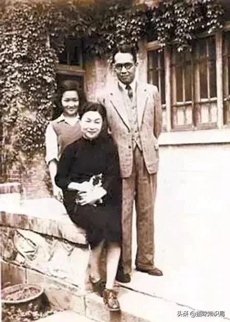 南宋哪位诗人爱养猫曾为猫写诗,南宋哪位诗人养猫还为猫写诗