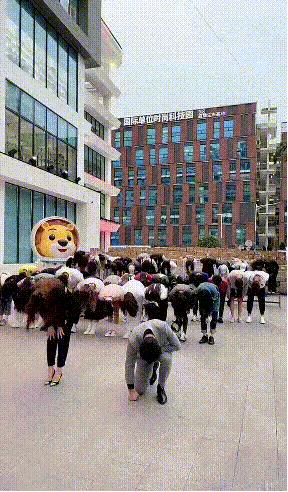 辛巴破亿粉,辛巴自曝一年能卖500亿