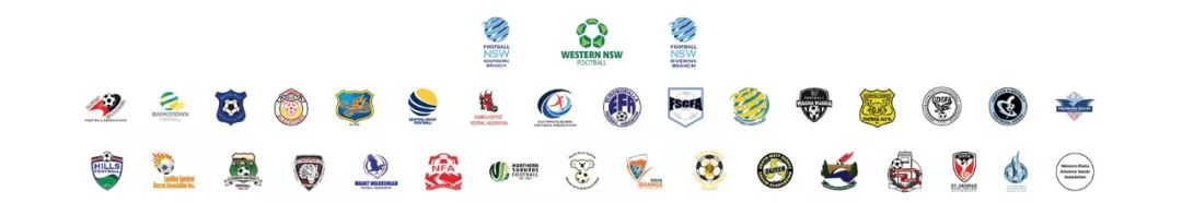 新南威尔士标志,新南威尔士足球队