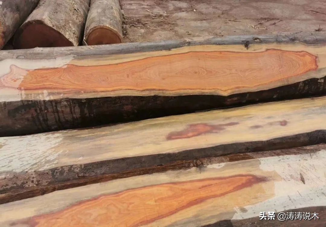 非洲名贵木材—大叶红檀最佳入手时机