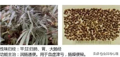 史上最全中草药图谱（附主治功效）（一）