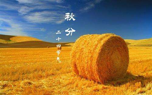 10首秋分诗词窥见古人的秋分时节,最经典的十首秋分诗词大全