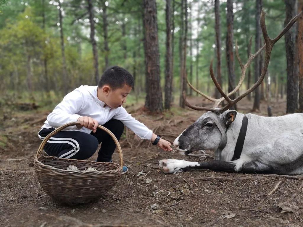 亲子成长夏令营,亲子夏令营招募江苏