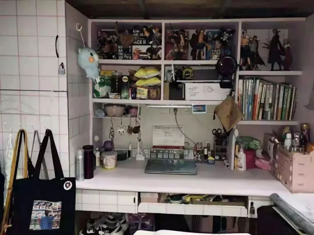 广州华商职业学院专科三年制,广州华商职业学院招不招夏季高考