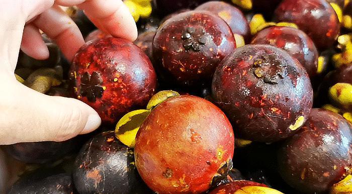 水果山竹硬的好还是软的好,山竹挑选皮硬还是皮软的