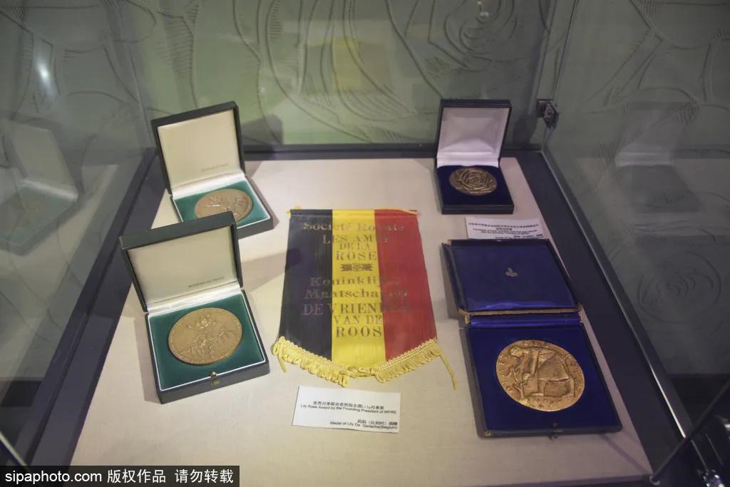 全球最美十大花海美到令人心醉,全球最漂亮花海