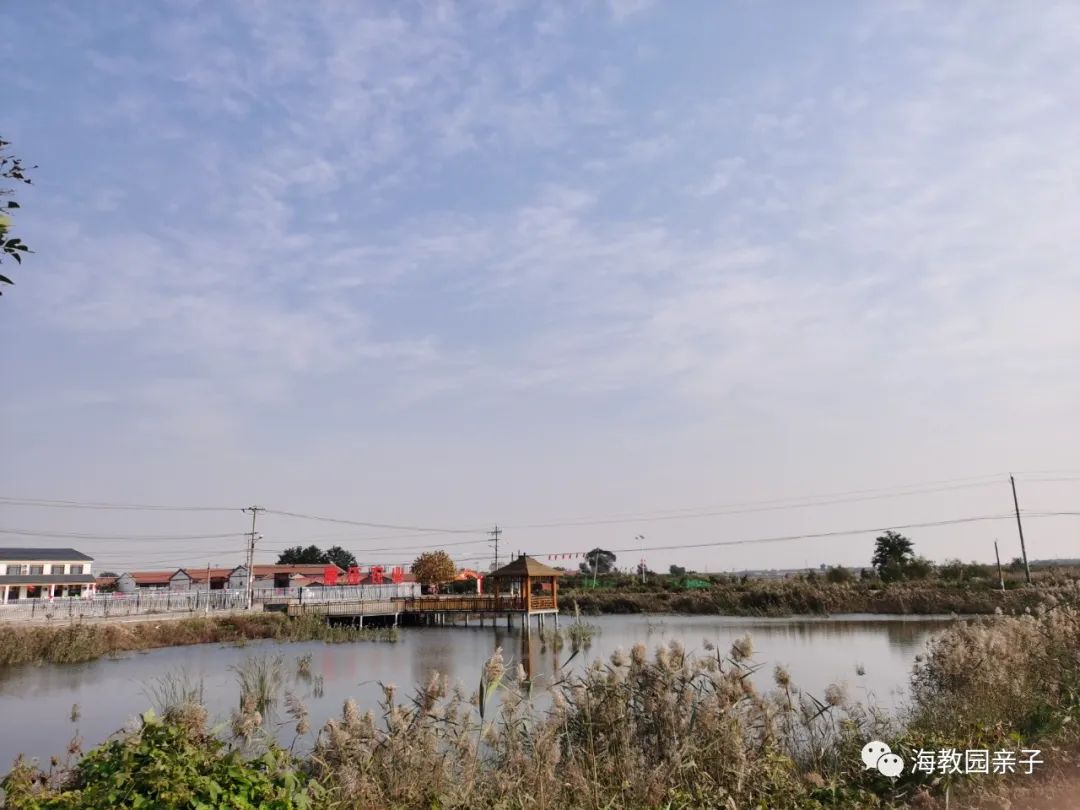 秋日好时光冬枣采摘,带着愉悦的心情踏上了冬枣采摘园