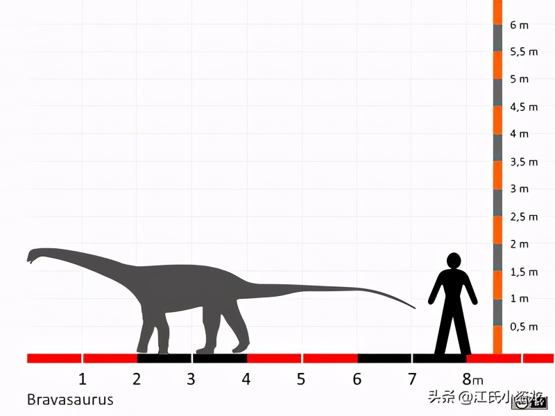 古生物时代有多少种恐龙,人类已经发现了多少恐龙种类