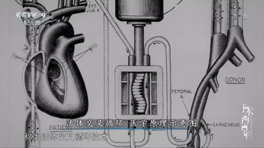 在学习强国看电视剧,能在学习强国看的电视剧