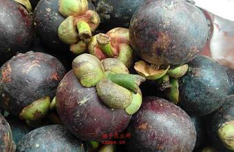 在超市买的山竹都是坏的怎么处理,吃货必学的挑选新鲜山竹的小妙招