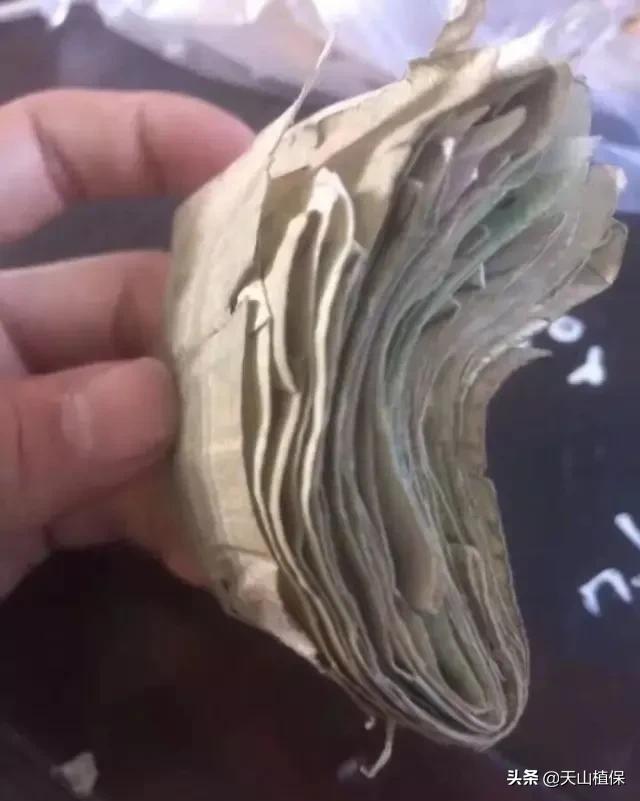 新疆小伙足球,新疆民间足球小伙