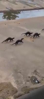 新加坡华人打架斗殴事件,新加坡打架最惨烈的一次