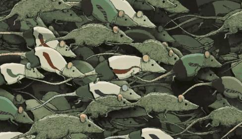 防治鼠害,鼠害的防治方法