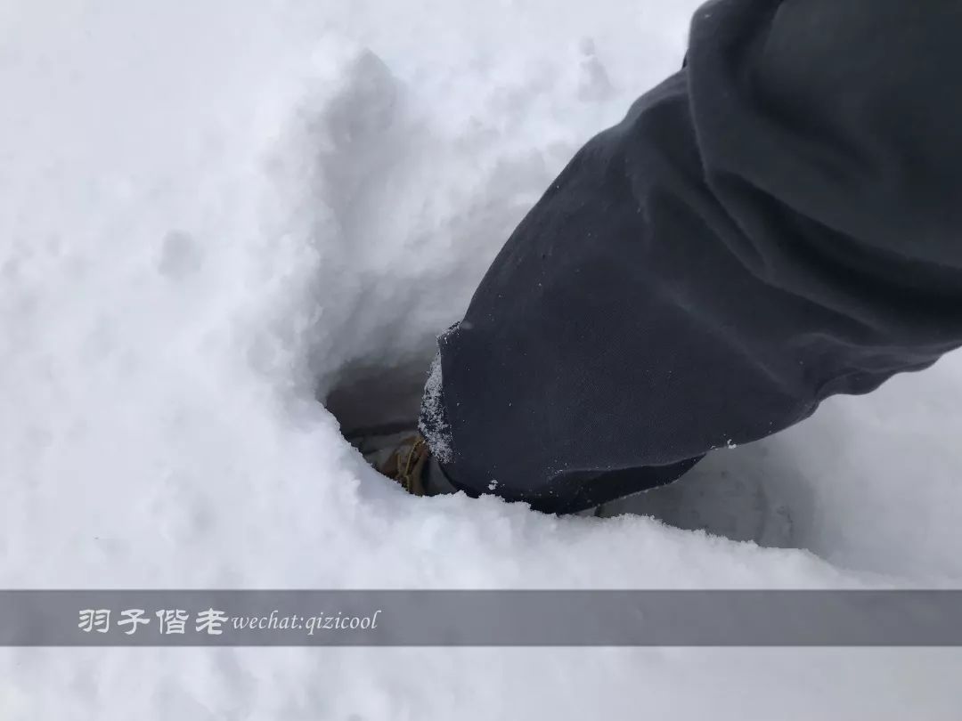 日本10天自由行费用北海道,东京北海道5日自由行攻略