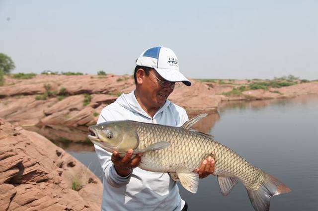 大草鱼钓不到怎么办,大草鱼难钓