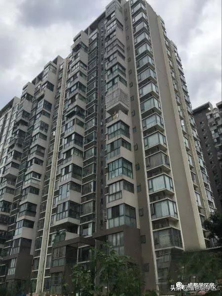 石笋街和茶店子小学怎么选,茶店子小学vs石笋街小学选哪个