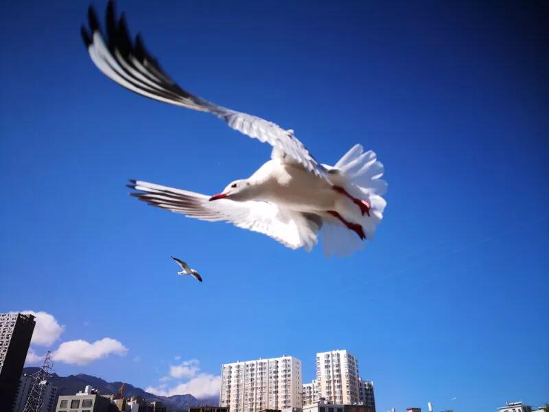 手拍世界摄影网,手拍世界完整版视频