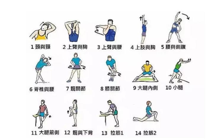 「羽球教学」第四节：运动前的热身和拉伸