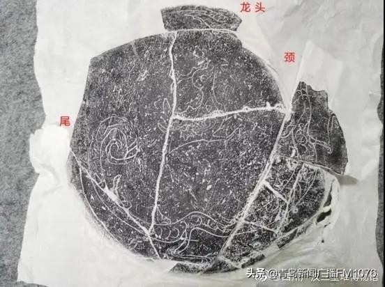 早安青岛直播,早安青岛头条