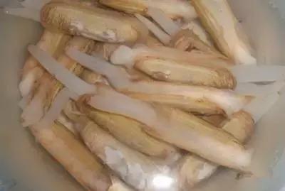 海南渔民整理的海鲜大全,渔民海鲜介绍