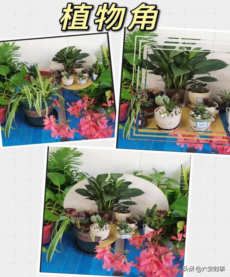*光春**烂漫静待花开﻿——丰安小学3月活动纪实
