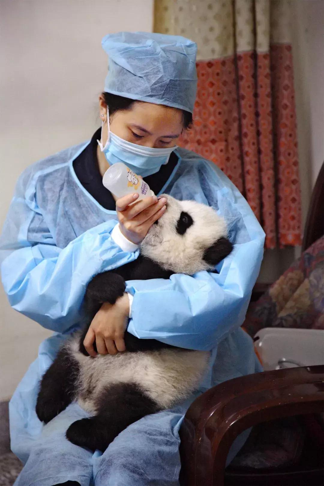 你才可爱你全家都可爱怎么回,你才可爱你全家都可爱出处