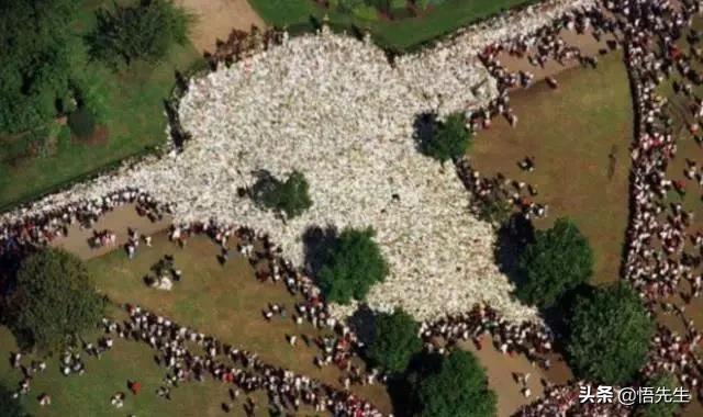 霍金年轻时照片有多帅,霍金21岁时的照片